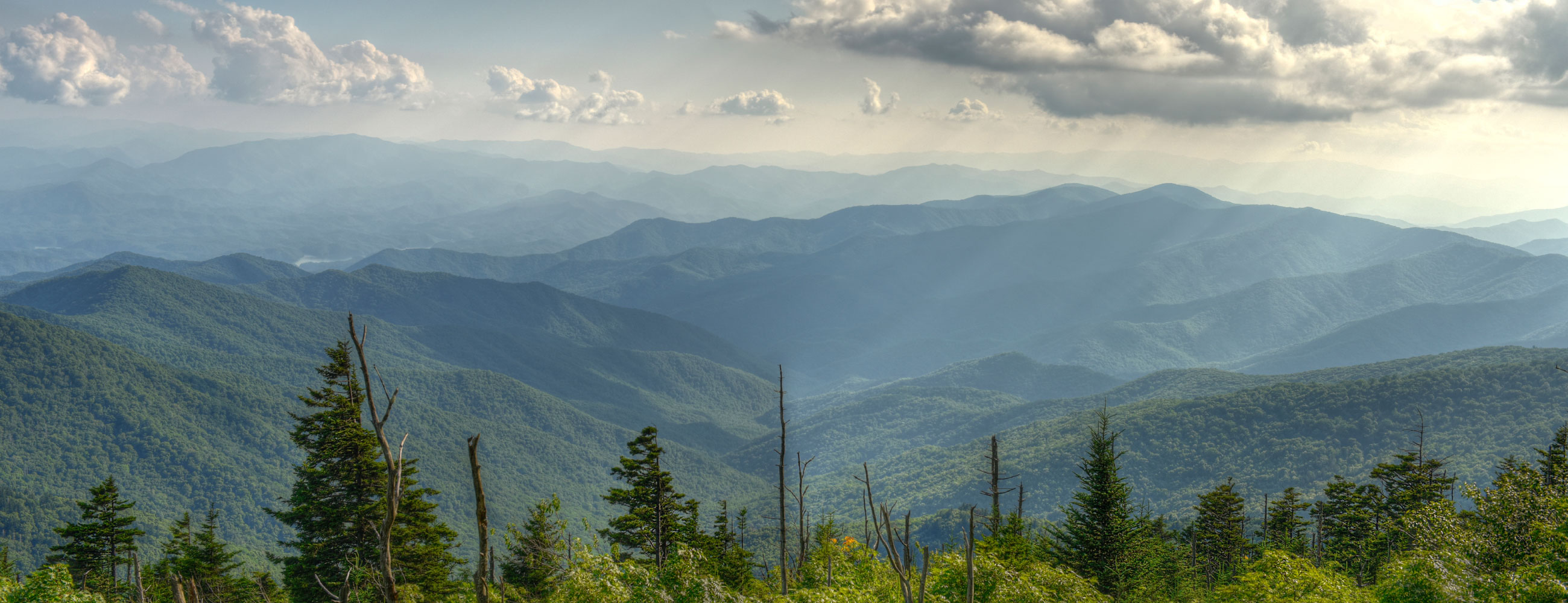 4 Morsi Snack & Bar S.A.S. Di Cataldo Andrea & C.